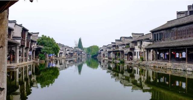 放飞笼中鸟